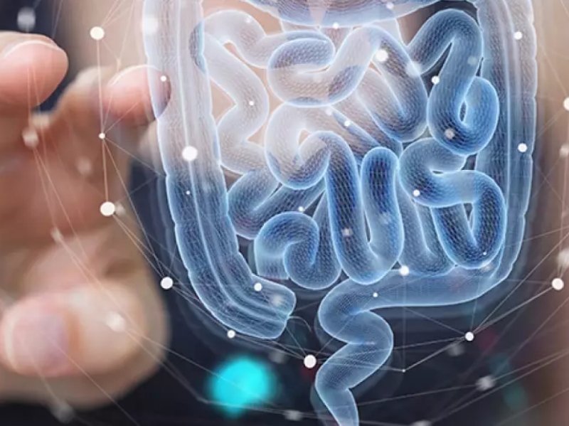 Consumer-survey reveals demand for scientifically proven prebiotics