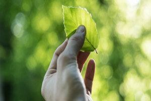 Corbion awarded Platinum sustainability rating by EcoVadis
