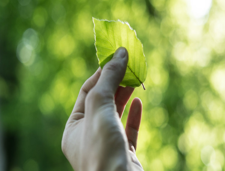 Corbion awarded Platinum sustainability rating by EcoVadis