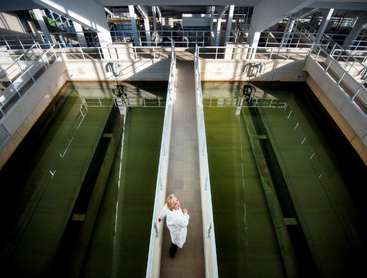 Cosucra and SWDE sign a sustainable water partnership 