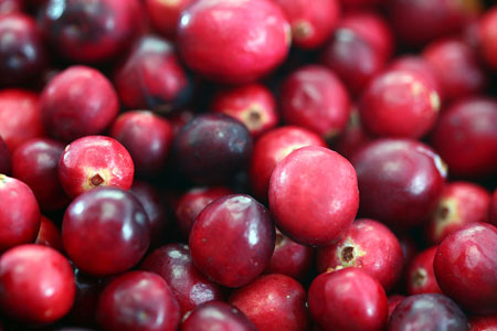 Cranberry extract helps to fight urinary tract infections in breastfed babies