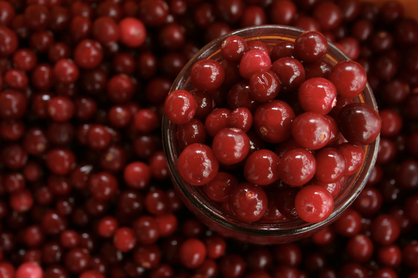Cranberry powder gains FDA qualified health claim for recurrent UTIs