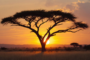 CSR: meeting challenges with resilience and determination