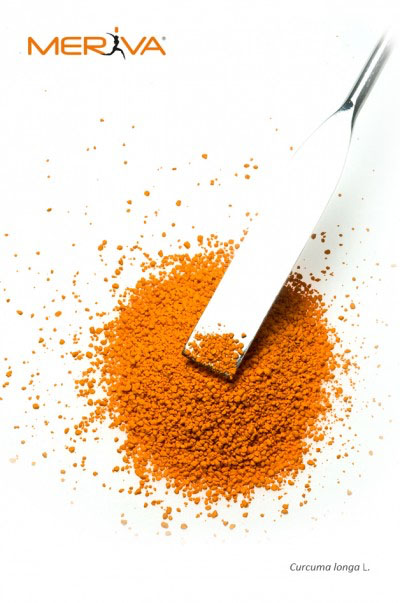 Curcumin: positive results in bone health support