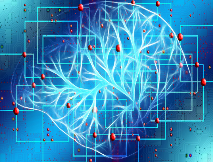 CurQfen study backs animal brain function support