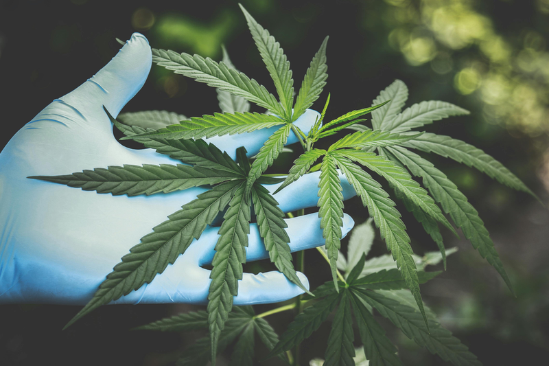 CV Sciences acquires premium cannabinoid producer and distributor, Extract Labs