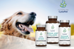 Cytoplan extends further support for charitable projects across the UK