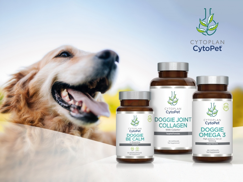 Cytoplan extends further support for charitable projects across the UK