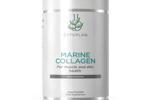 Cytoplan launches collagen powder ingredient for skin health