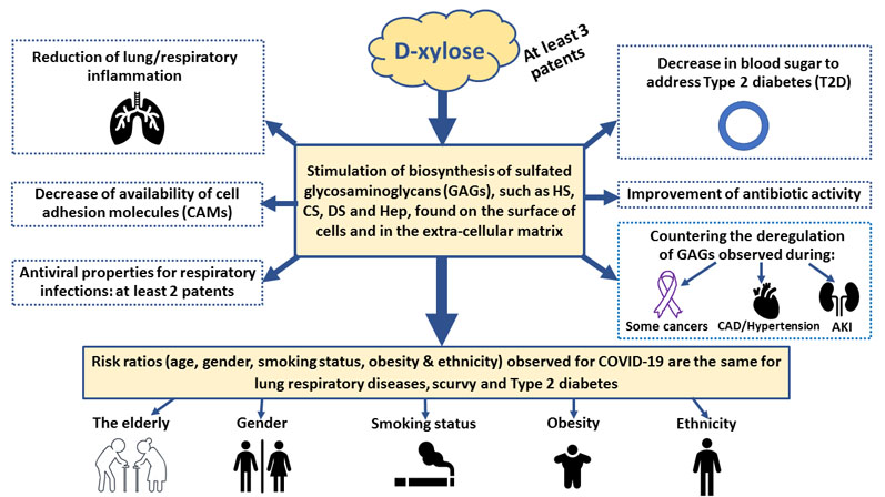 D-Xylose can potentiate the antibiotic treatment of COVID-19 and reduce hospitalisation time