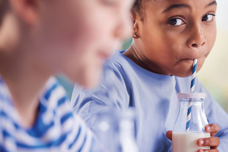 Dairy trends: IFF report identifies factors driving industry expansion