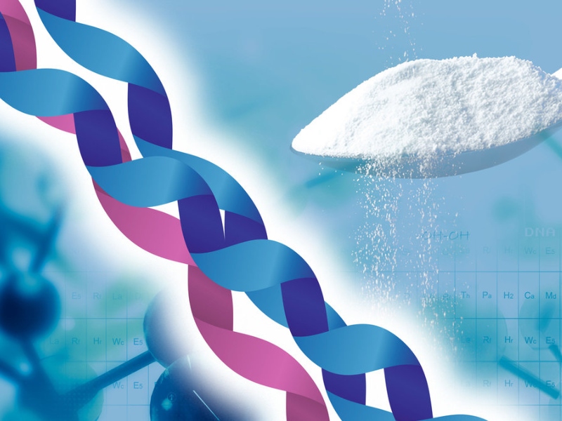 Darling Ingredients to showcase at Fi Europe