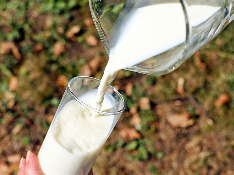 Data confirms milk fats create ideal food matrix for menaquinone-7