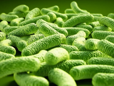 Deerland Enzymes granted use patent for PreforPro prebiotic