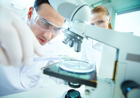Deerland Enzymes highlights clinically supported branded products