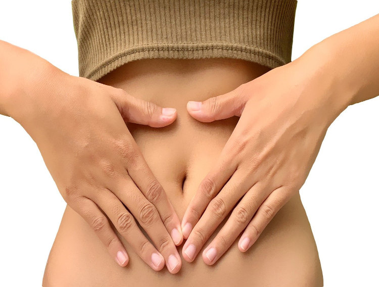 Deerland probiotic shown to germinate in the GI tract