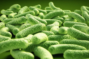 Deerland Probiotics & Enzymes positioned to collaborate with customers worldwide