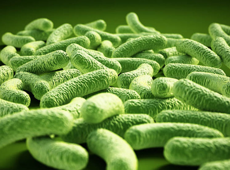 Deerland Probiotics & Enzymes positioned to collaborate with customers worldwide