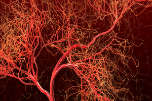 Deerland supplement shown to promote healthy cholesterol 