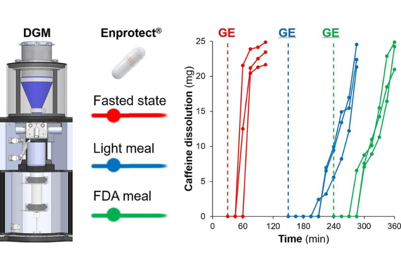 DGM study confirms Entprotect capsules resist gastric breakdown even after fatty meals