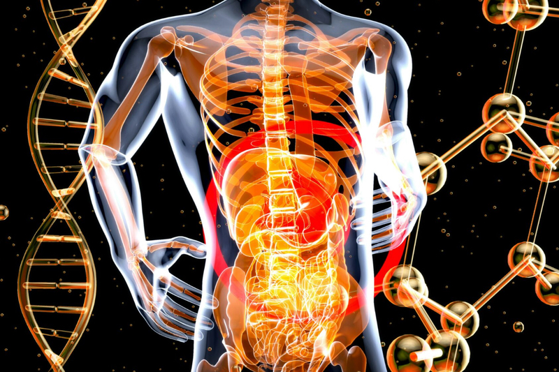 Diet and gut microbes linked mechanistically to IBD, study finds