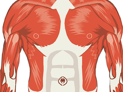 Dietary supplement could improve heart health
