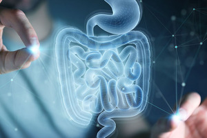 Digestive health trends in 2022 
