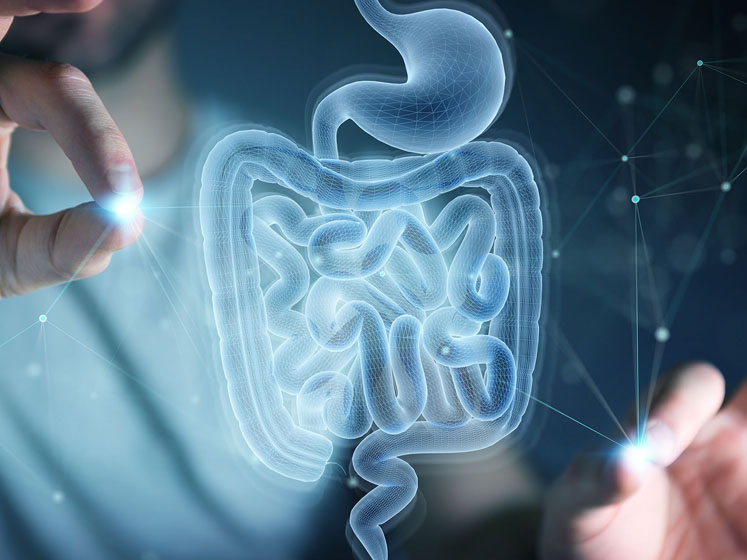 Digestive health trends in 2022 
