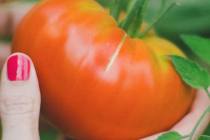 Discovering the beauty within at SupplySide West