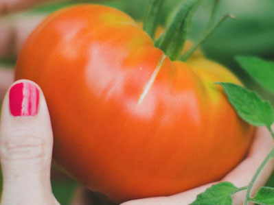 Discovering the beauty within at SupplySide West