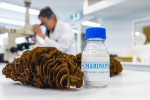 Dive into fucoidan at Vitafoods Europe