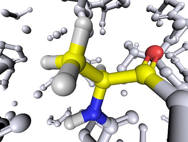 DMC Biotech completes pilot-scale production of fermented L-alanine