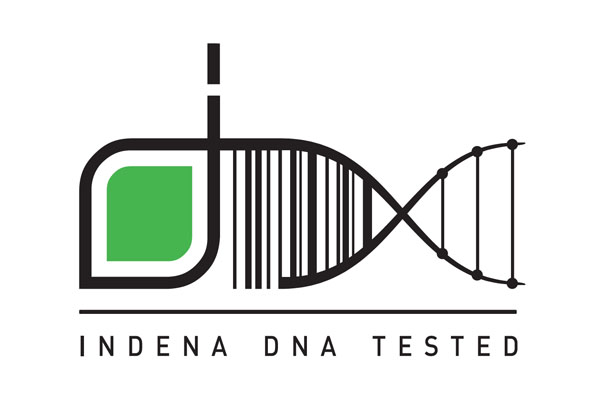 DNA barcoding in the nutraceutical industry: part II