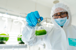 Double algae power for better health