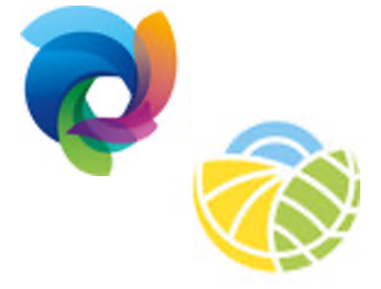 DSM and Firmenich to merge in landmark agreement