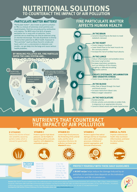 DSM highlights benefits of nutritional solutions to counter health impact of air pollution 