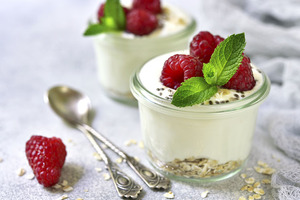 DuPont launches series of cultures to reshape fermented dairy industry