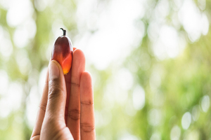 DuPont Nutrition & Biosciences featured as WWF case study