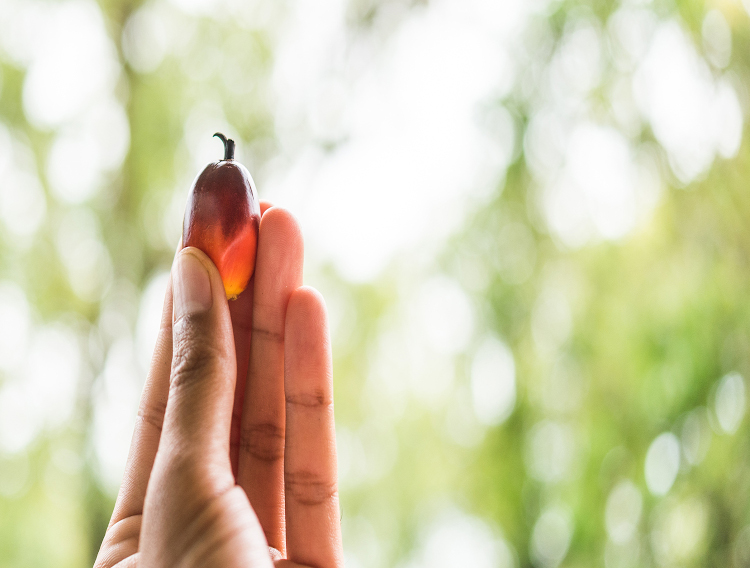 DuPont Nutrition & Biosciences featured as WWF case study