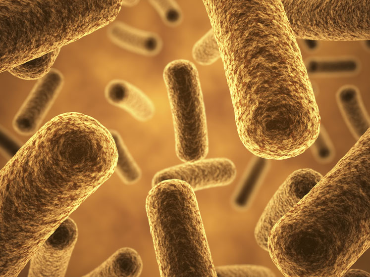DuPont opens probiotics fermentation unit