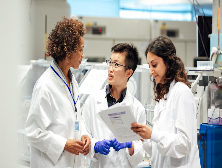 Dutch university aims to improve appeal of plant-based proteins