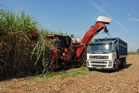 Earthoil launches organic, fair trade ethanol
