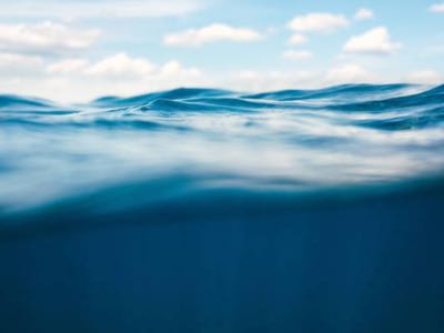 EID Parry achieves “water positive” microalgae cultivation