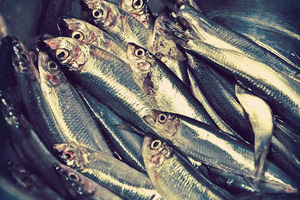 Emerging opportunities for omega-3s