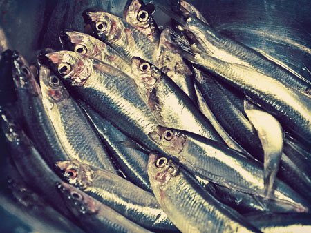Emerging opportunities for omega-3s