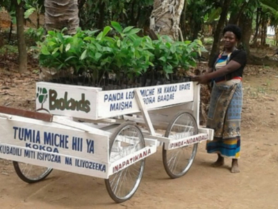 Empowering cocoa growers in Tanzania