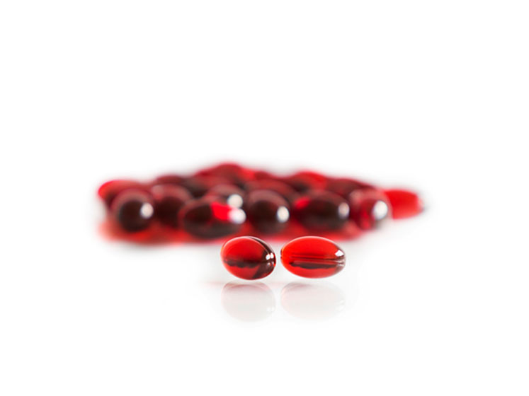 En route to recovery, supply chain continuity, transparent operations and sustainability are key
