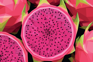 Enhancing the nutritional value of everyday items: a case study using dragon fruit
