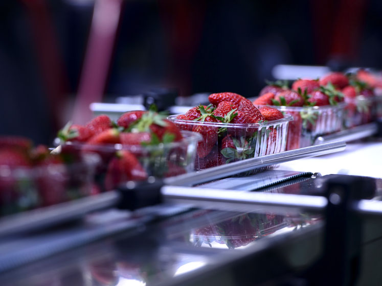 Ensuring the continued safety and quality of packaging
