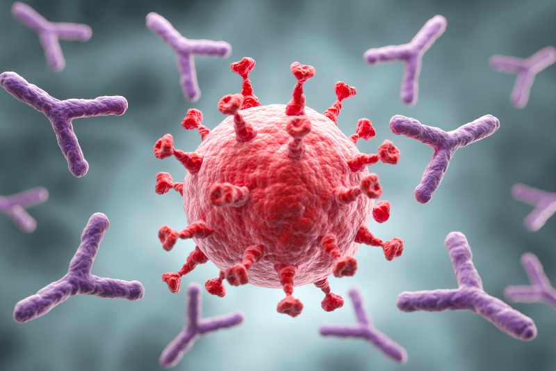 EpiCor postbiotic linked to rapid immune biomarker changes in clinical trial